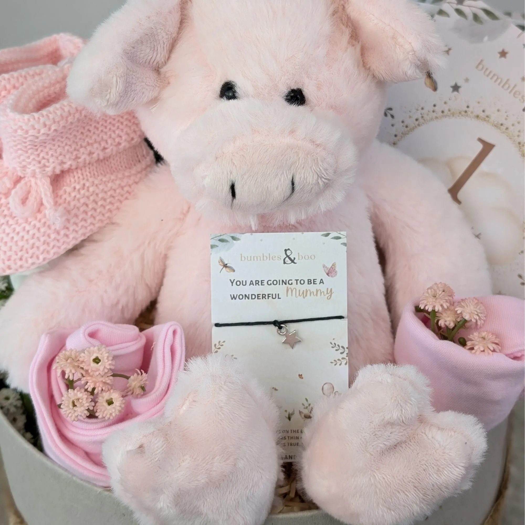 New Baby Girl Gifts Box Love to Hug "Piggy" Cuddles