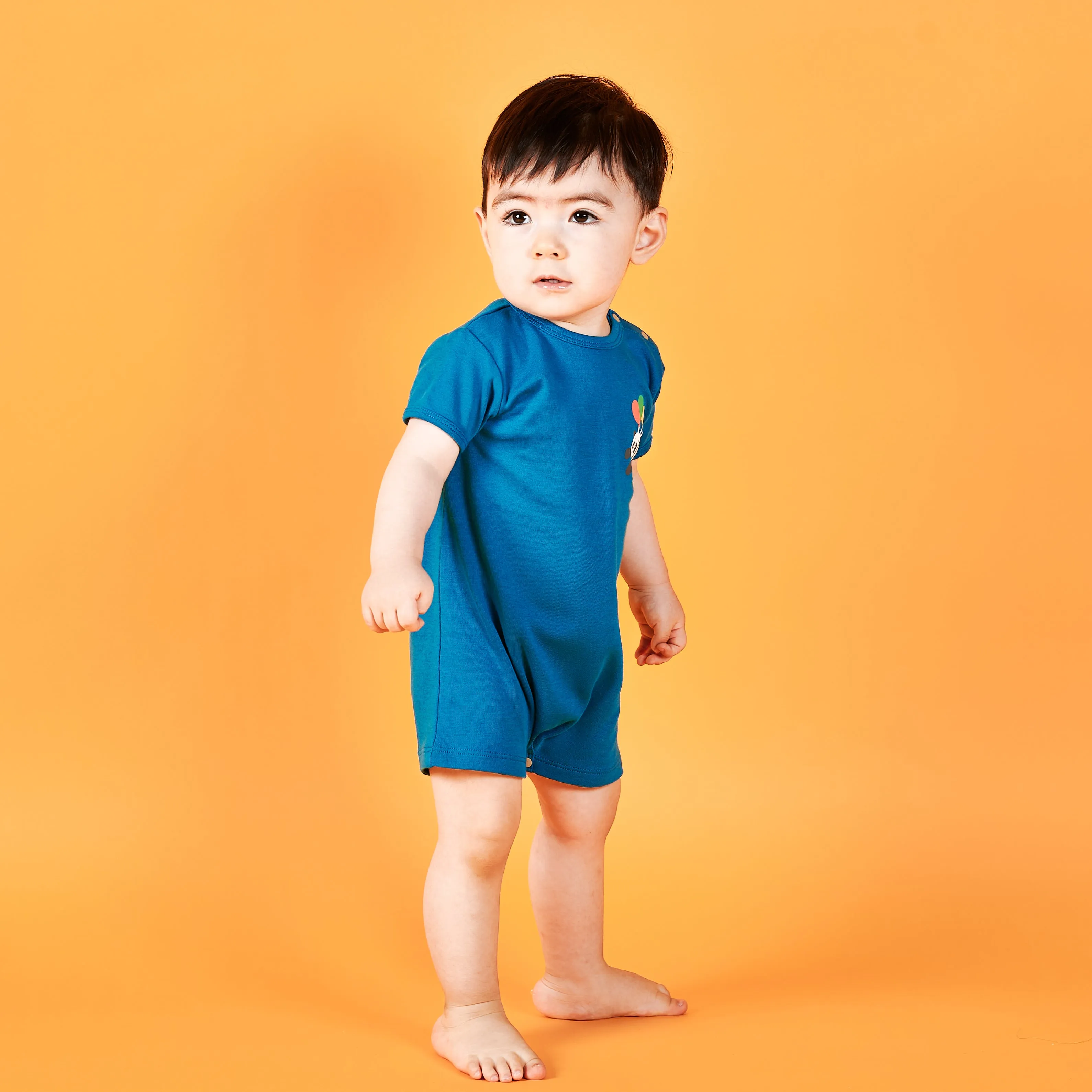 Rainbow Safari Short Sleeve Baby Romper Playsuit (Blue)